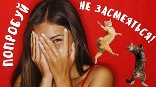 Лучшие приколы 2023  - коубы лучшие приколы недели!