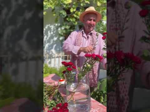 ვიდეო გაკვეთილი ესე დიდხანს გაძლებს თქვენი ყვავილები