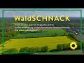 WaldSCHNACK -Ein Spaziergang mit dem Revierförster im Tangstedter Forst, im Schatten der Fichten