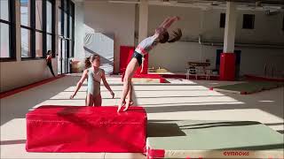 Gymnastique Filière Performance 2017 à 2011 - Février 2023