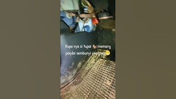 si tupai 🐿 memang pintar sembunyi dalam mobil #shortvideo #shots