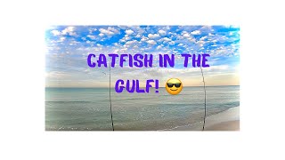 1st time catching a Cat fish in the Gulf. Caught some pretty Jacks too.