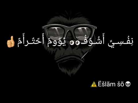 حاله واتس البشر بت الحرام