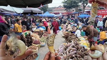 CHỢ ĐỒ RỪNG LỚN NHẤT NHÌ TỈNH HÀ GIANG - TẤP LẬP - BÁN TOÀN ĐỒ LẠ DƯỢC LIỆU QUÝ - ĐẶC SẢN ĐÔNG BẮC