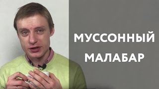 видео Кофе в зернах Molinari