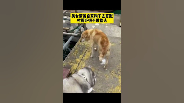 .传说中的人仗狗势