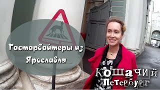 Выпуск №078 &quot;Гастарбайтеры из Ярославля в подвалах Эрмитажа. Кошачий Петербург.&quot;