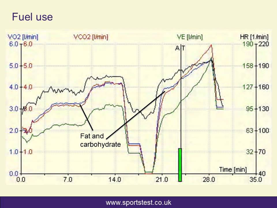 Vo2max And Metabolic Testing At Http Www Sportstest Co Uk What