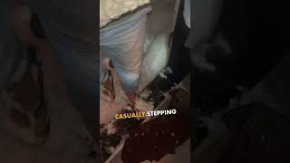 Everyones Freezing, And He Shows Up Like This