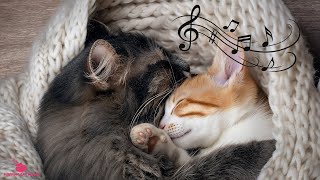 Anti-Anxiety Music Music for Cats 🐱 Relaxing Sleep Tunes for Peaceful Sleep and Deep Calm