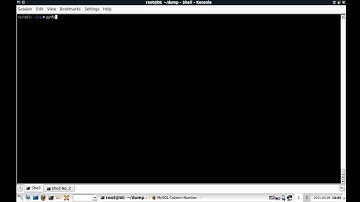 Python SQL Dumper | Blind Injection Example