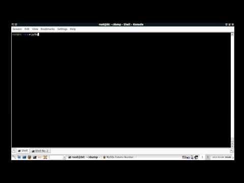 Python SQL Dumper | Blind Injection Example