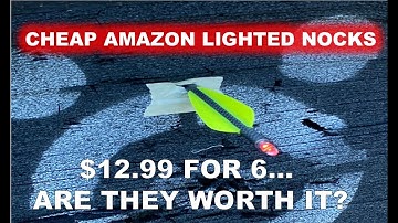 Cheap Amazon Lighted Nocks - ARE THEY WORTH IT!? - 1/4 The Price!