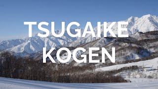 Tsugaike Kogen Ski Resort in Hakuba Japan