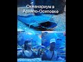 Океанариум в Архипо-Осиповке! Oceanarium of Arkhipo-Osipovka!