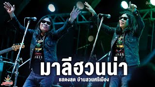 Full Live | มาลีฮวนน่า - MALEEHUANA「 Live at บ้านสวนศรีเมือง」