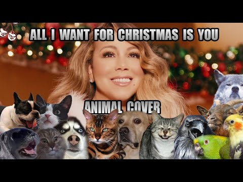 Mariah Carey - All I Want For Christmas Is You (Animal Cover)