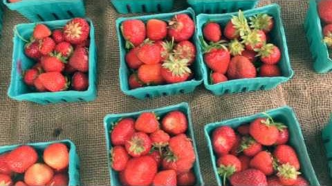 NYU APARTMENT TOUR!!