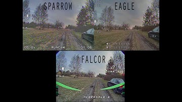 Falkor vs eagle vs sparrow