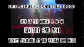 NEXT HOLLYWOOD SHOW!!! David Maldonado at the Whisky Jan 2, 2011
