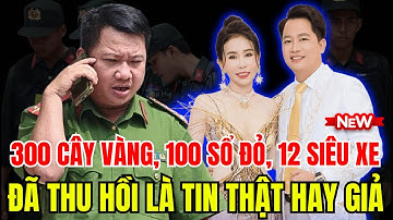 Vụ Malisa Choáng Ngợp: 300 Tỷ Đồng, 300 Lượng Vàng, 100 Sổ Đỏ Bị Thu Giữ!