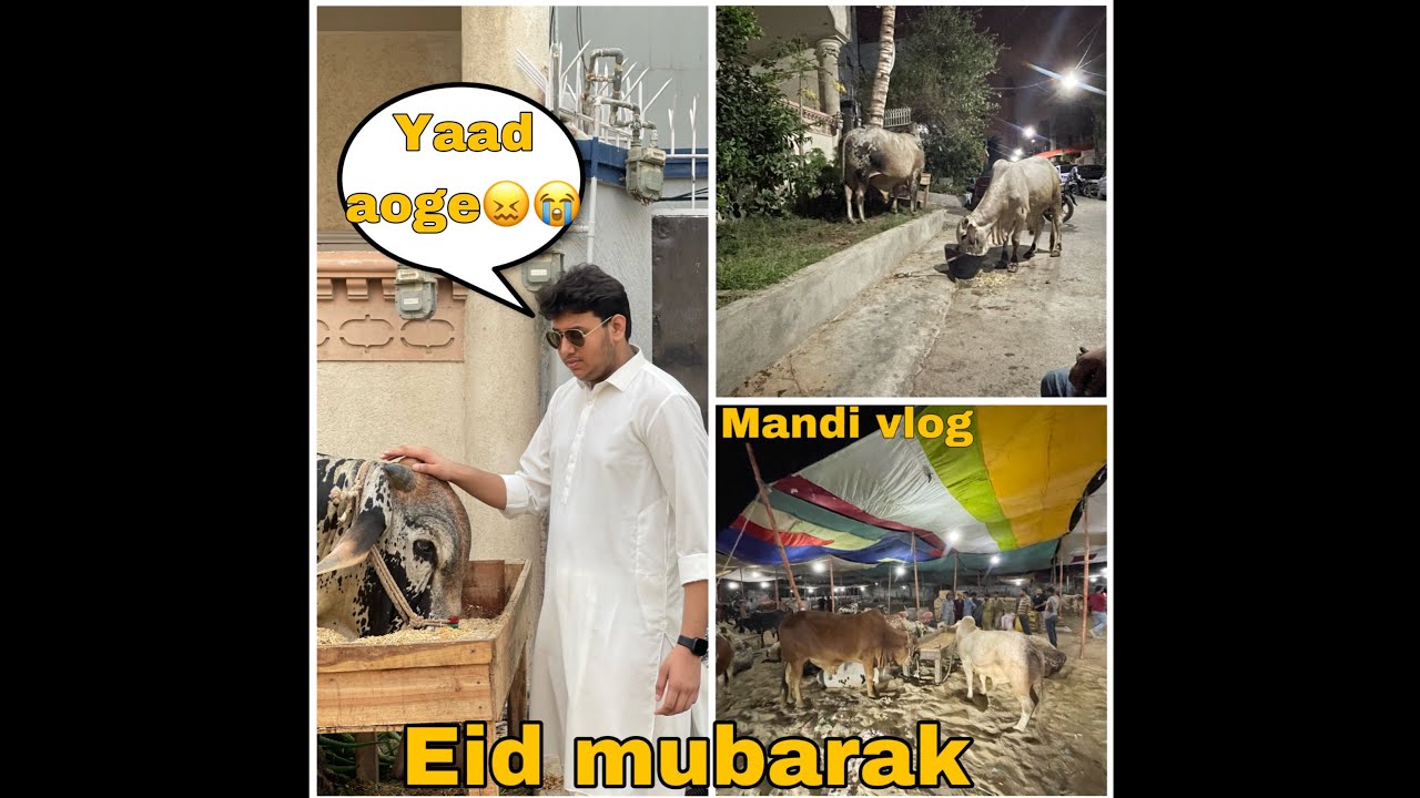Iss baar apni mandi lagai😂| eid mubarak | mandi vlog |