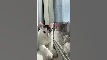 Oh He Locked In 