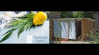 картинка: Суккот законы и духовный смысл 5786 - рав Даниэль Булочник