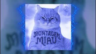 Montagem Miau (TIKTOK VERSION)