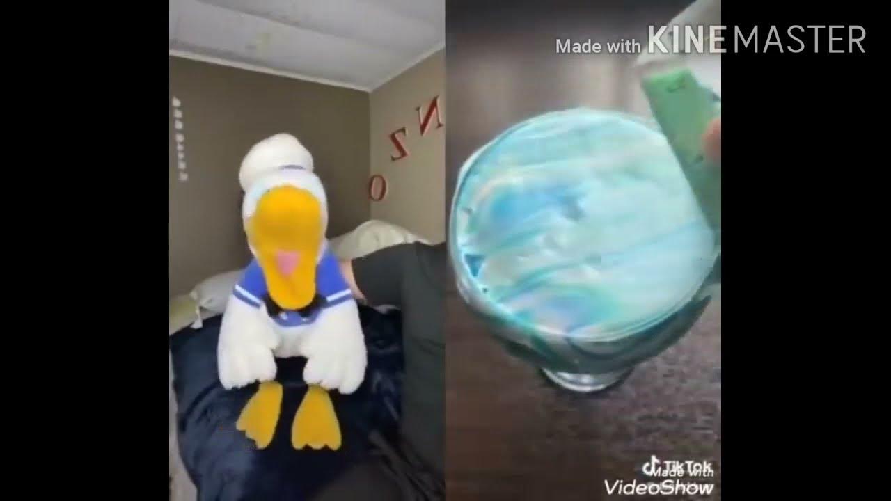 Donald duck tik tok - YouTube