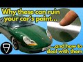 Removing water spots from your cars paint and ppf porsche detailing diary part 3