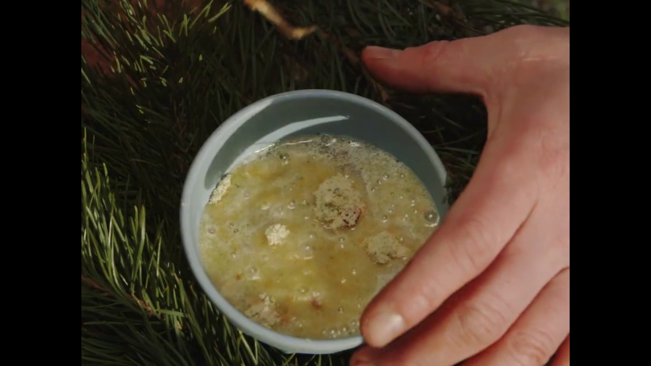 Rett-i-koppen med kylling