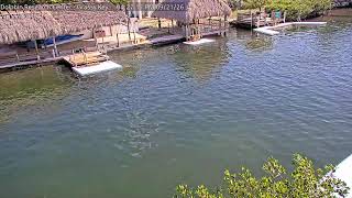 Welcome to the Dolphin Research Center in the Florida Keys! @DolphinResearchCenter
