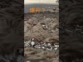 煉丹？其實是一種糖果喔！