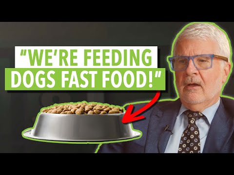 dog food