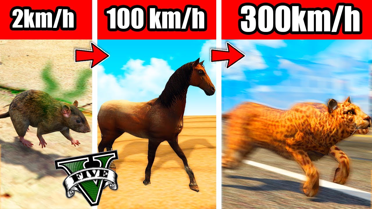 DEL ANIMAL MÁS LENTO al MÁS RÁPIDO de GTA 5!