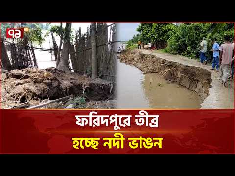 মধুমতি নদীর ভাঙনে পাঁচটি গ্রামের ঘরবাড়ি ও জমি বিলীন | Faridpur | River | Ekattor TV