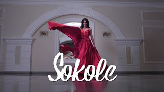 Video thumbnail of "Dražen Zečić - Sokole (Official lyric video)"