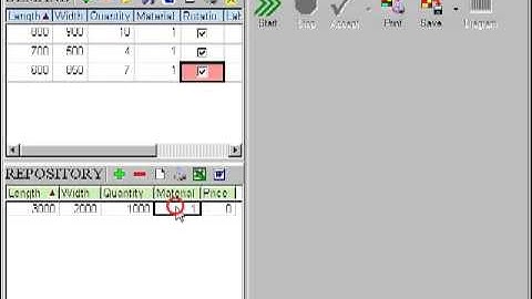 Cutting Optimization PRO 5.9.4.3