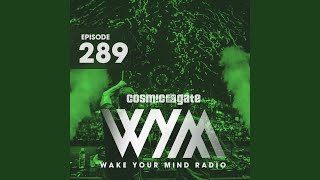 Every Word (WYM289)