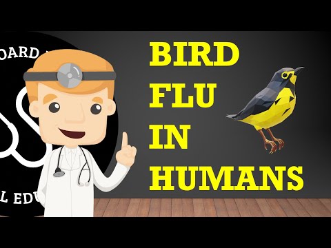 Bird Flu Outbreak