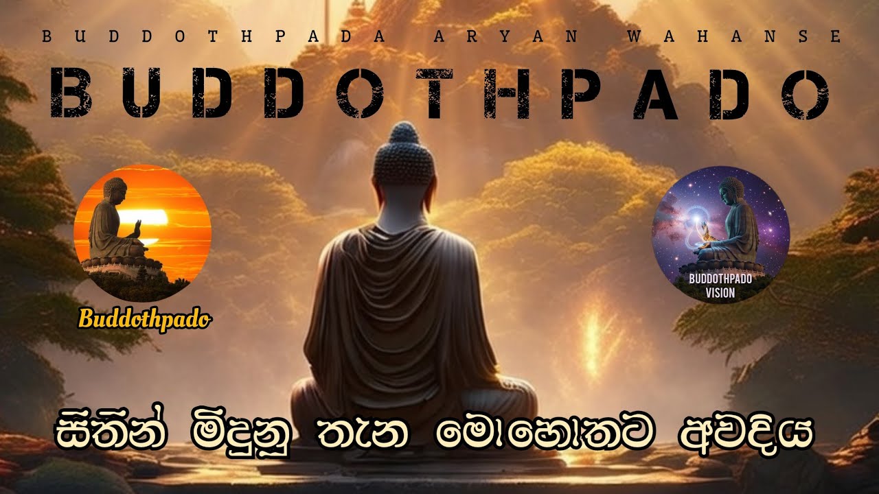 දෘෂ්ටි වලින් මිදෙන්න | සත්‍ය අවබෝධ කරගන්න 🪷