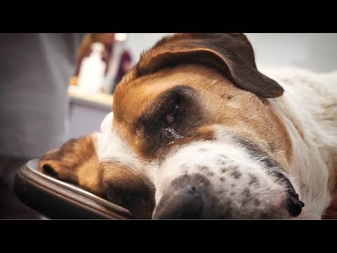 lucy-had-tears-streaming-down-her-face-!