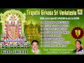 Tirupathi Girivasa Sri Venkatesha - Venkateshwara Kannada Songs | S P Balasubramanyam, S Janaki Mp3 Song