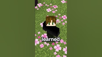 I Forced This Player To Wear Armor