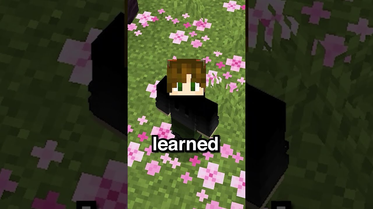 I Forced This Player To Wear Armor