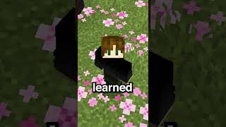 I Forced This Player To Wear Armor