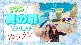 松田聖子／夏の扉【うたスキ動画】80年代アイドルソング歌ってみた