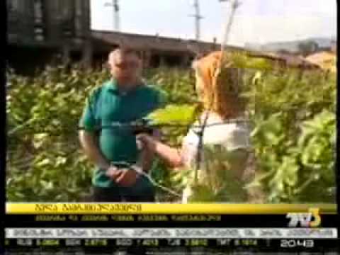 ქვევრის ღვინის მუზეუმის გახსნა. 16 05 2014   ტვ 3   ამბები 20 00