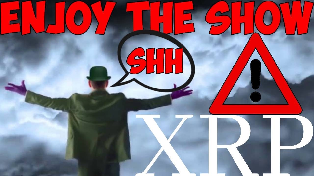 Ripple XRP DAVID SCHWARTZ LIKE DOMINOES IT WILL FALL | BG123 STORM ACTIVATED | MR POOL 50 CENTS!